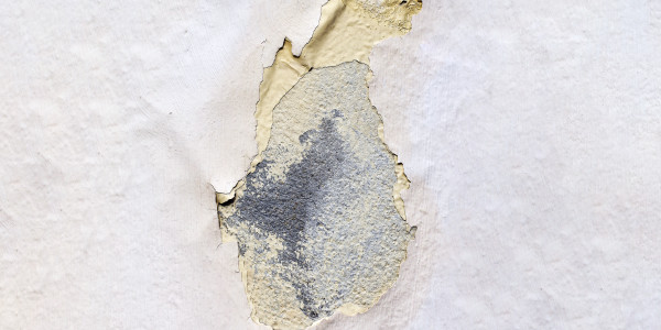 Pintar Fachadas de Empresas / Negocios / Locales Comerciales en Badalona · Impermeabilización de Filtraciones de Agua y Humedad